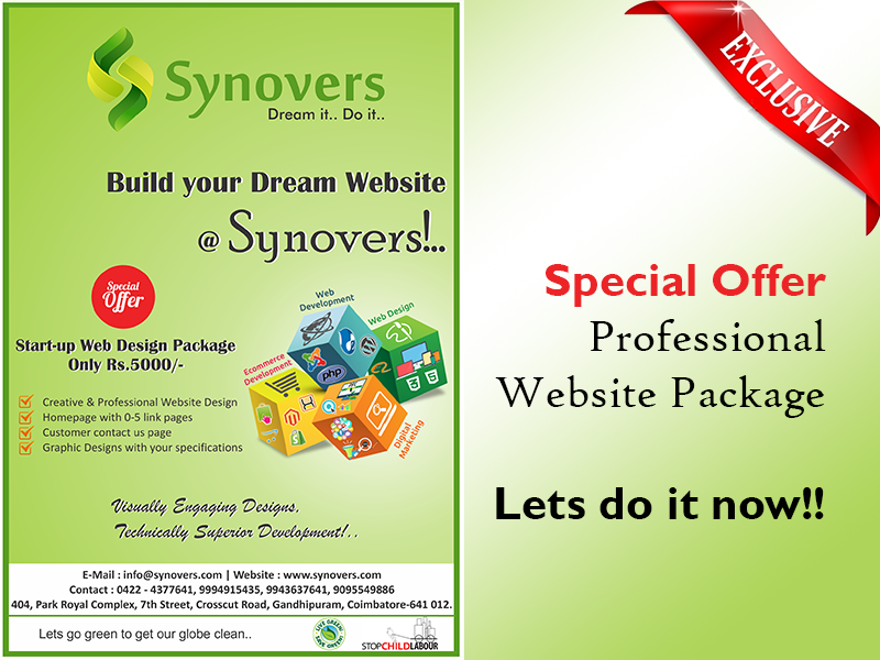 Professional Website Package